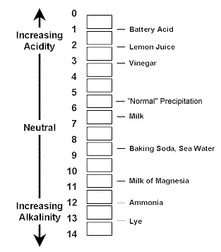 What is pH? | PitWatch spinal tap diagram 